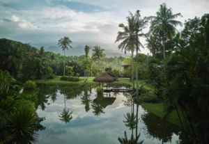 The Farm at San Benito